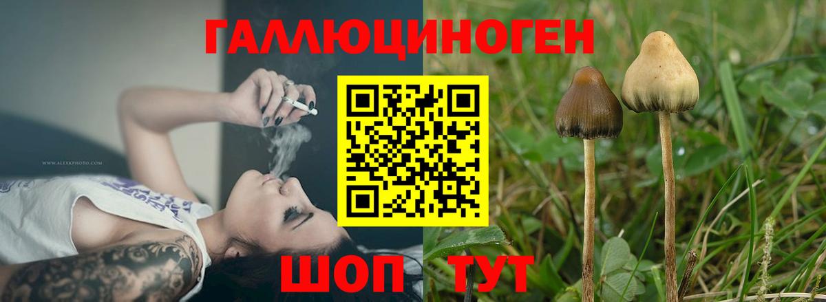 Галлюциногенные грибы GOLDEN TEACHER Старая Купавна