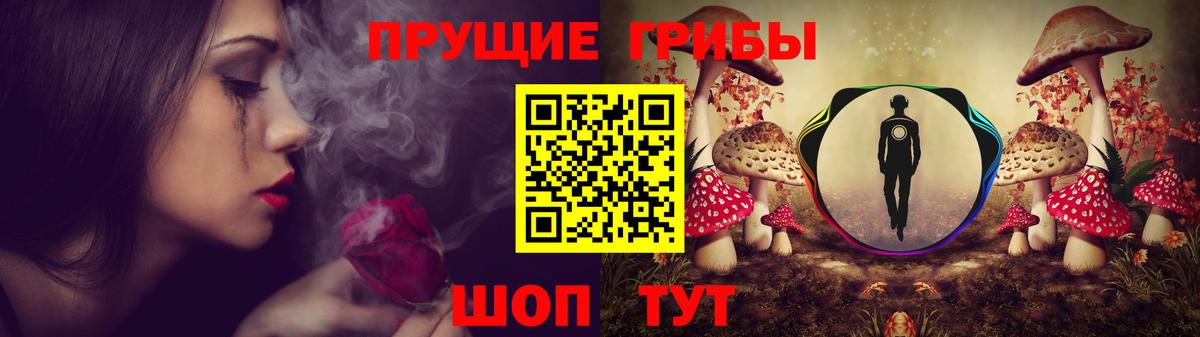 Галлюциногенные грибы Cubensis  Вход с VPN  Старая Купавна 